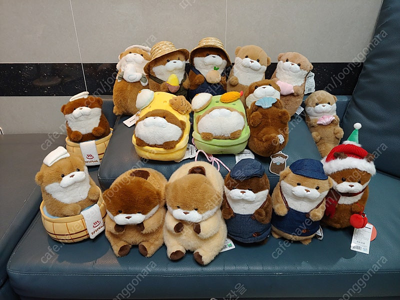 우소우소짱 중형인형 새거 이미지