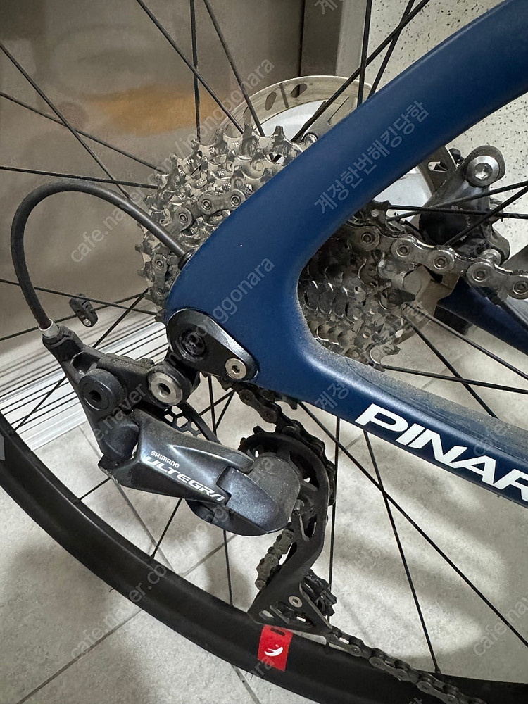 pinarello 피나렐로 파리스 49 울테그라 디스크 이미지