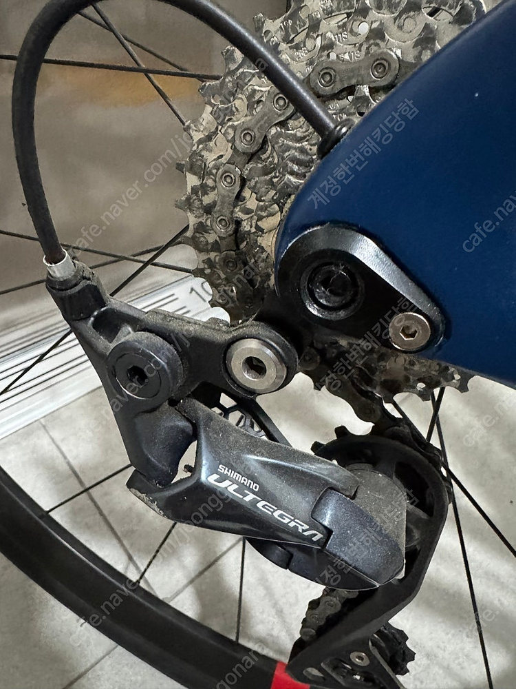 pinarello 피나렐로 파리스 49 울테그라 디스크 이미지