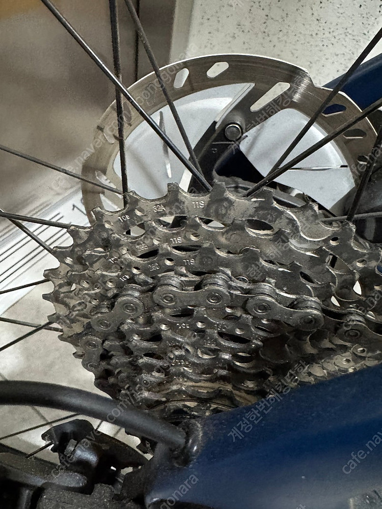 pinarello 피나렐로 파리스 49 울테그라 디스크 이미지