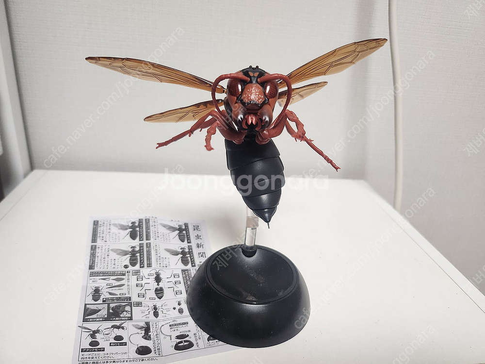 생물대도감 소장품 일부 판매합니다--1