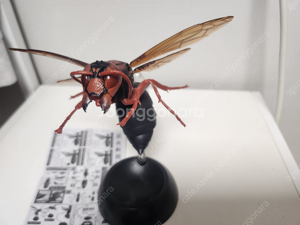 생물대도감 소장품 일부 판매합니다--2