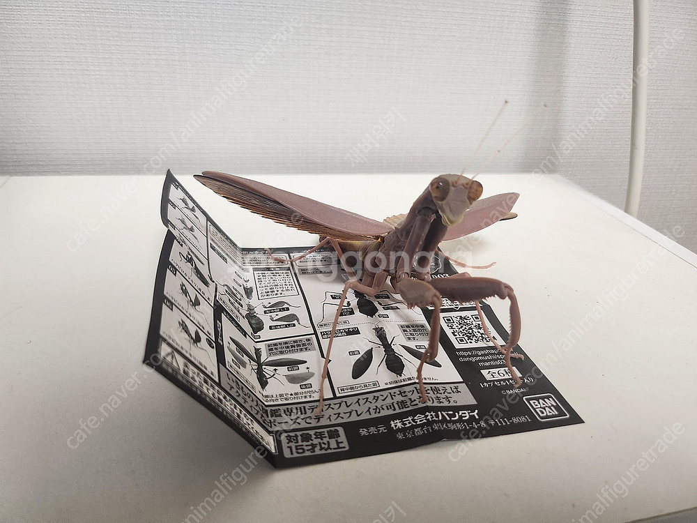 생물대도감 소장품 일부 판매합니다--3