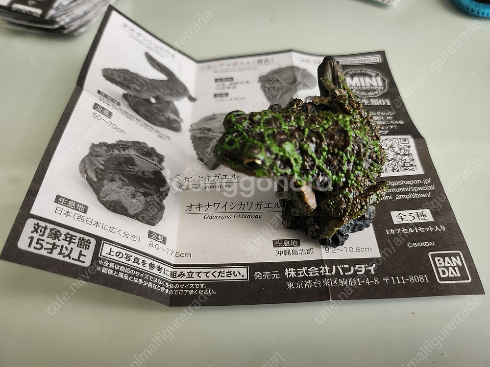 생물대도감 소장품 일부 판매합니다--5