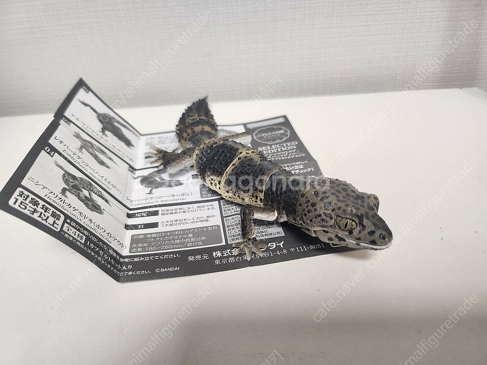 생물대도감 소장품 일부 판매합니다--6