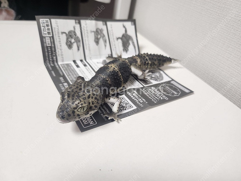 생물대도감 소장품 일부 판매합니다--7