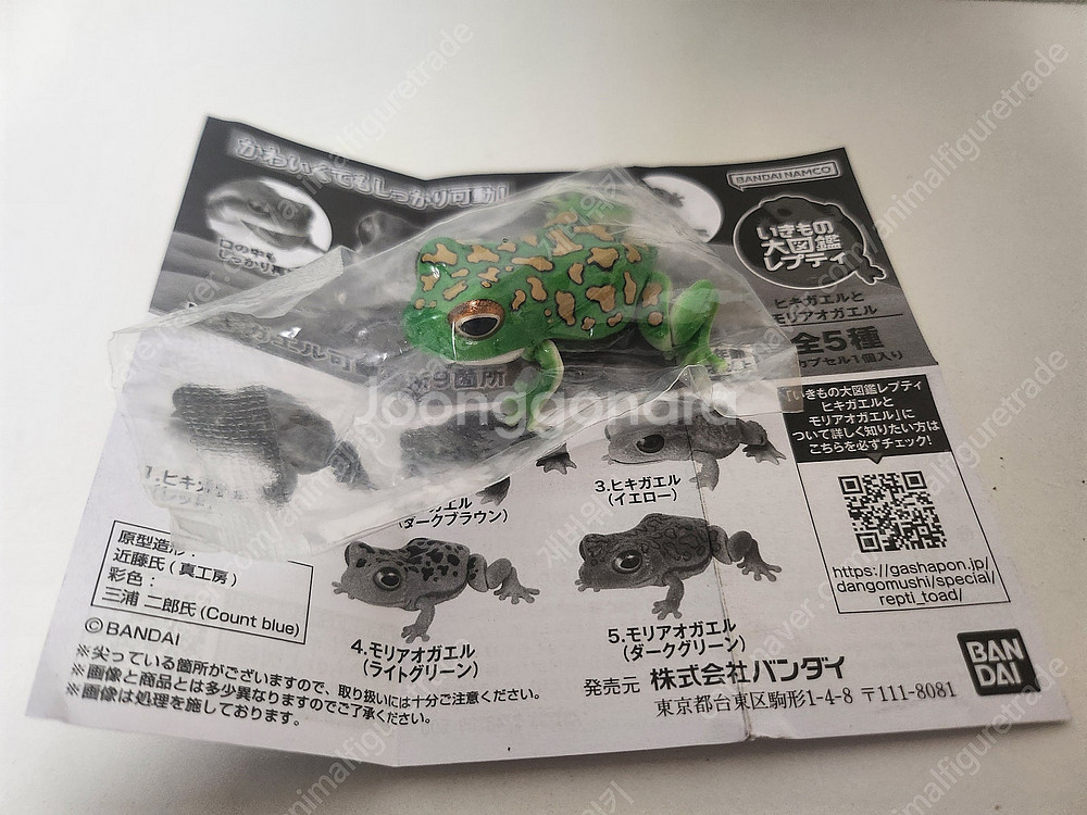 생물대도감 소장품 일부 판매합니다--9