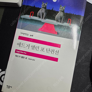에드거 앨런포 단편집 [민음사]