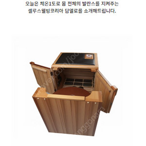 셀루스 담열로 (전기사우나기기)