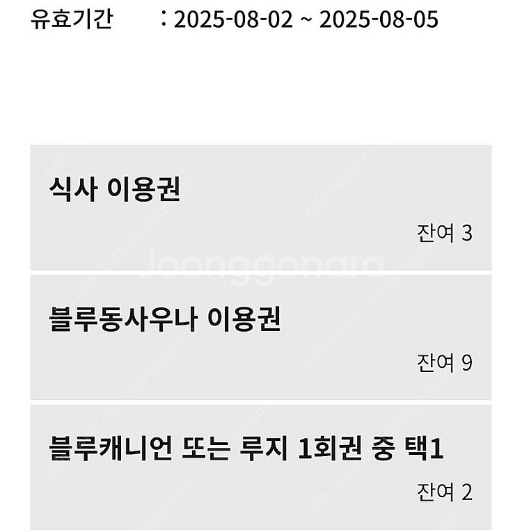 휘닉스파크 워터파크 이용권 2매--0