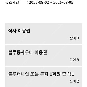 휘닉스파크 워터파크 이용권 2매