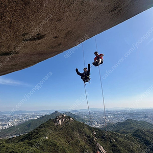 레키스틱 / 블랙다이아몬드스틱 / 캠프파인더스틱 각각 다른 3가지 브랜드 스틱 새상품 판매 이미지