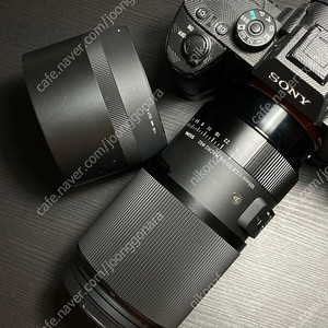 시그마 105mm f2.8 dg dn 마크로