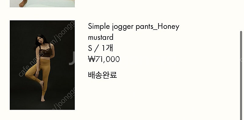 부지무드라 판매--9