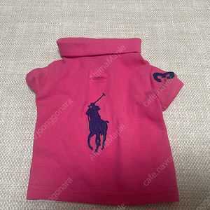 강아지 랄프로렌 폴로 정품 옷 판매합니다.