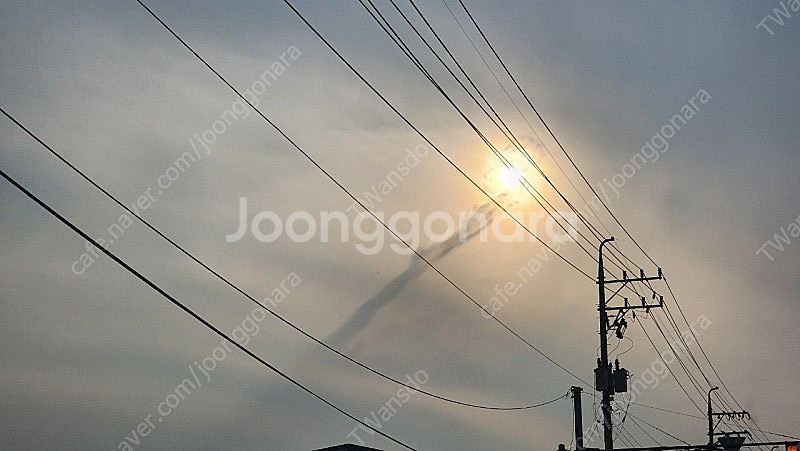 롯데렌터카 전차종 단기쿠폰 구매합니다--0