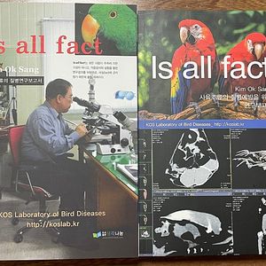 Is all fact