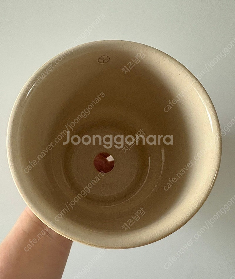 토분 판매(카네즈센, 스프라우트, 제네스포터리)--4