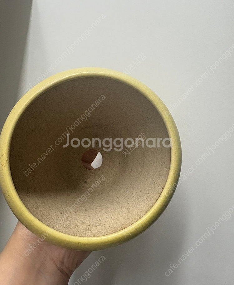 토분 판매(카네즈센, 스프라우트, 제네스포터리)--7