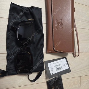 셀린느 트리옹프 XL 01 CL40282U 선글라스