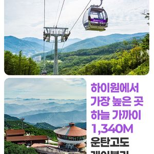 하이원 운탄고도 케이블카 4매