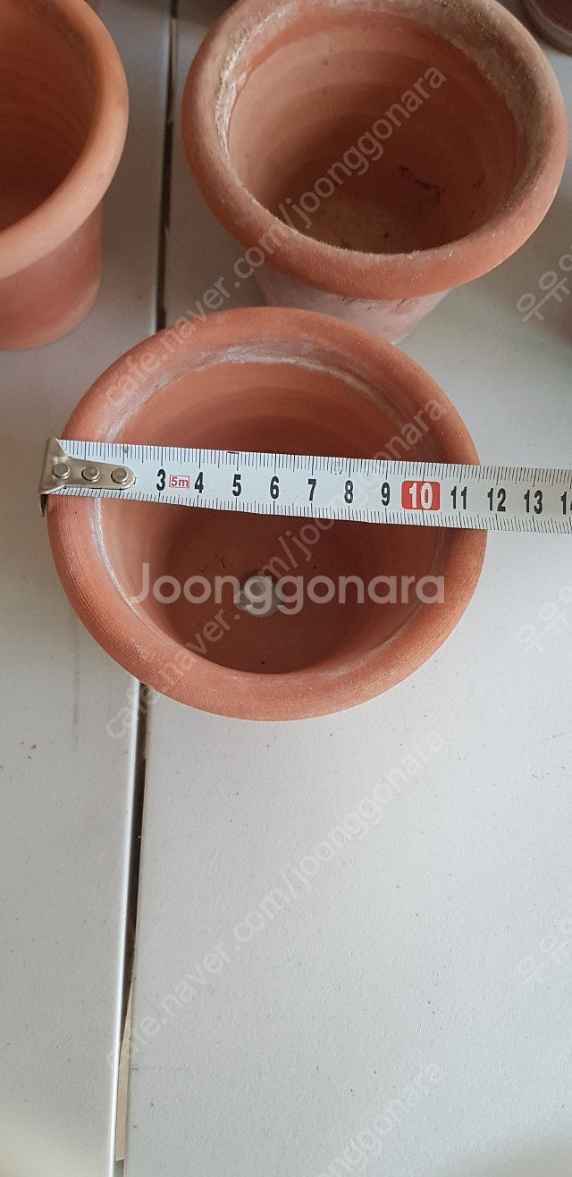 두갸르송 링팟--0