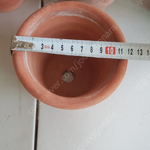 두갸르송 링팟