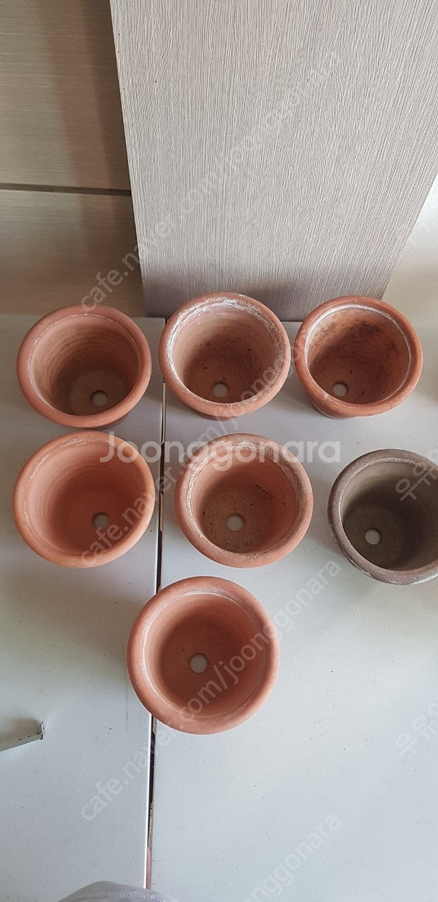 두갸르송 링팟--3
