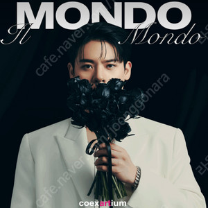 유채훈 일몬도 il mondo 크로스오버 콘서트 중앙블럭 앞열 2~4연석 양도