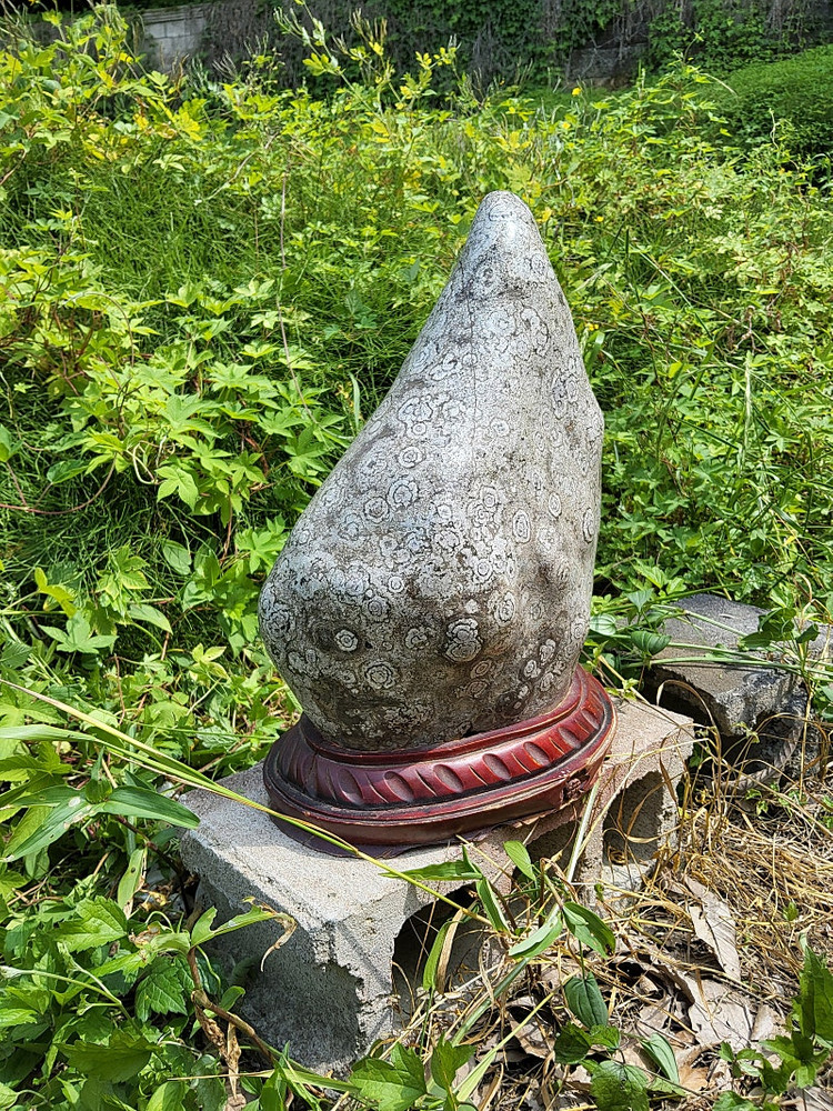 청송 꽃돌 백장미--8