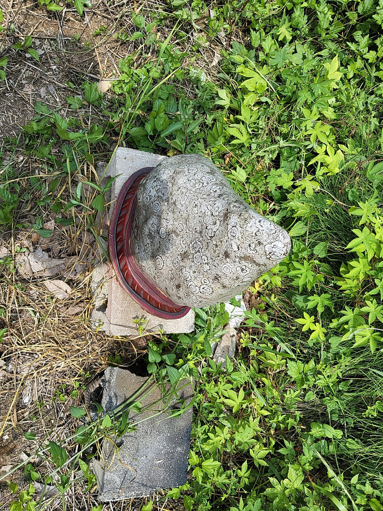 청송 꽃돌 백장미--9