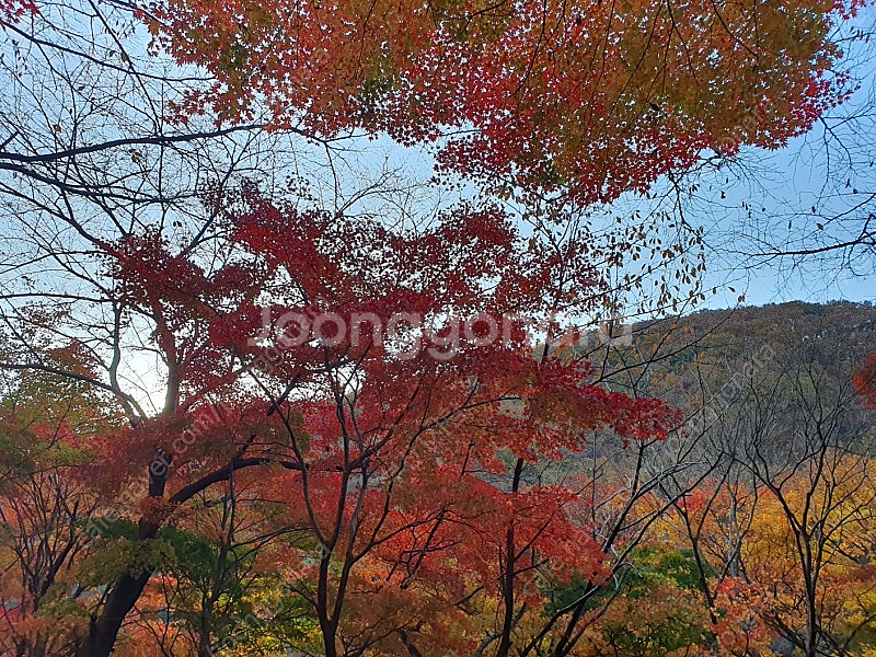 쿠팡 기프트카드 (90%)삽니다.(선만받음)(500만까...--0