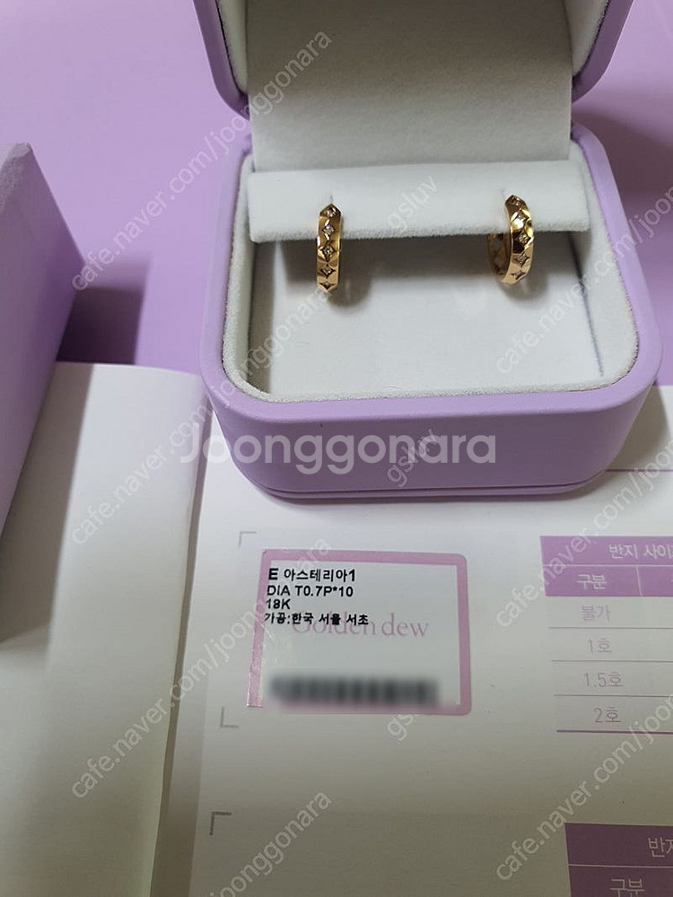 골든듀 아스테리아 귀걸이 (옐골)--0