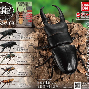 BANDAI(반다이), 생물대도감(사슴벌레 8탄), 2종 급처합니다.