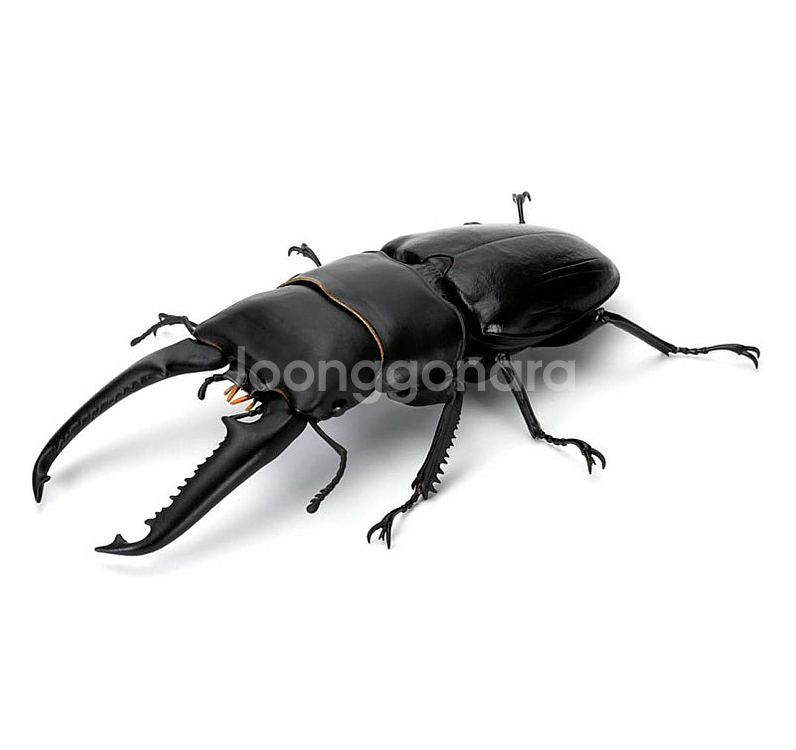 BANDAI(반다이), 생물대도감(사슴벌레 8탄), 2...--1