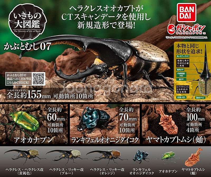 BANDAI(반다이), 생물대도감(장수풍뎅이 7탄), ...--0