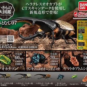 BANDAI(반다이), 생물대도감(장수풍뎅이 7탄), 팝니다.