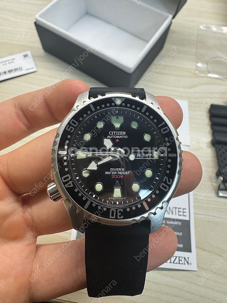 시티즌 복어 ny0040--1