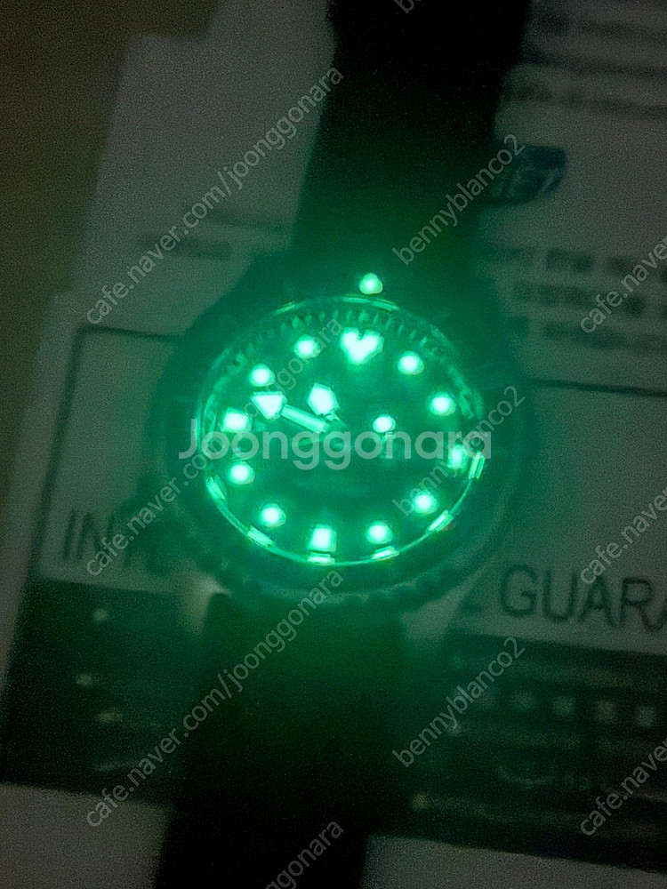 시티즌 복어 ny0040--4