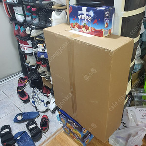 장혼희 나태 팝니다