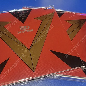 엑시옴 베가 차이나 플러스
