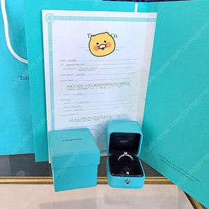 이번주만할인(정품)티파니앤코 트루 다이아몬드 웨딩 링 0.20ct