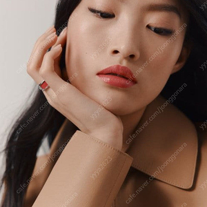 에르메스 실키 립스틱 선물용 추전, 샤인 21로즈 에삐세,85 면세점 구매