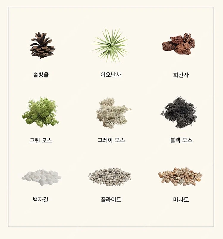 모던포인트 무드등 원목 플랜테리어 식물 조명 이미지