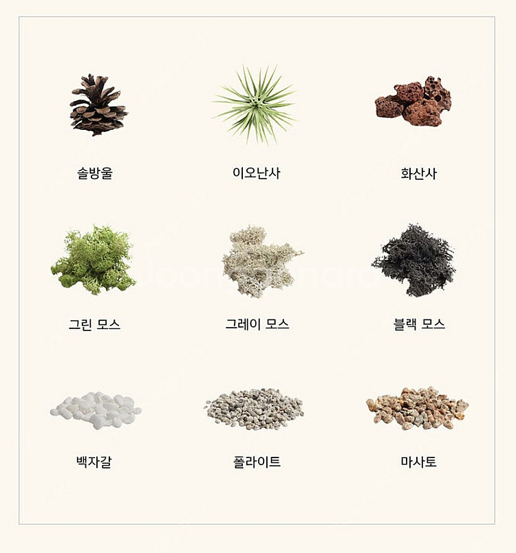 모던포인트 무드등 원목 플랜테리어 식물 조명--2