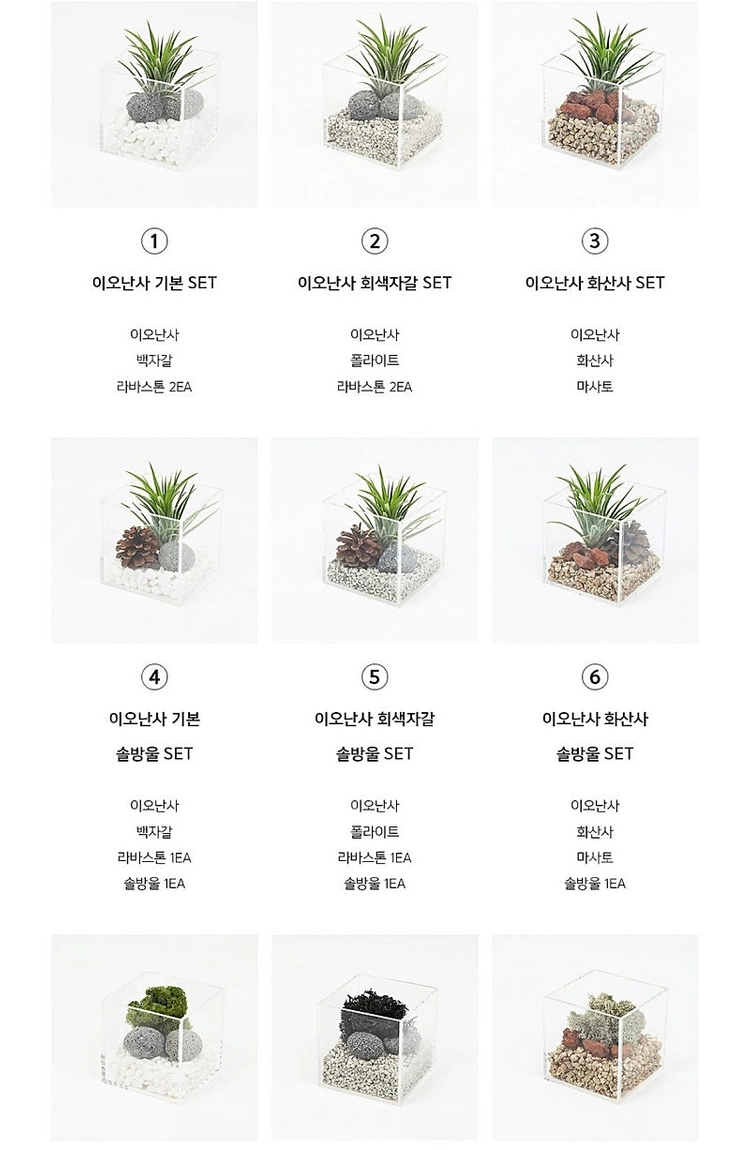 모던포인트 무드등 원목 플랜테리어 식물 조명 이미지