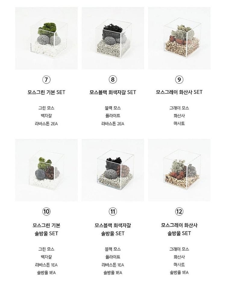 모던포인트 무드등 원목 플랜테리어 식물 조명 이미지