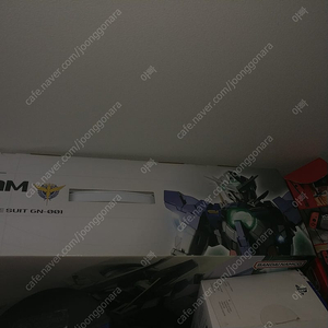 Pg 엑시아