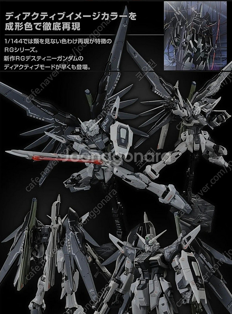[삽니다] RG 퍼펙트 스트라이크,RG 데스티니 건담 ...--1