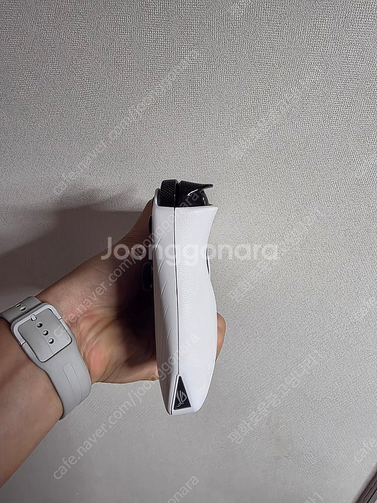 rog ally 백갈리 로갈리 케이스 파우치 2tb 택...--2